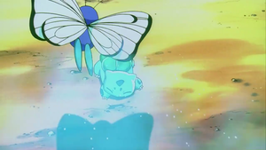 Butterfree usando somnífero.