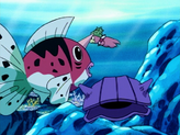 Shellder