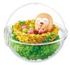 Rowlet Terrarium EX Alola 2.jpg