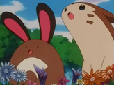 Sentret