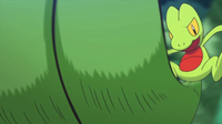 Treecko usando destructor.