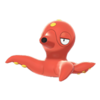Octillery EpEc hembra.png