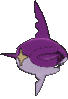 Imagen posterior de Sharpedo variocolor en Pokémon X, Pokémon Y, Pokémon Rubí Omega, Pokémon Zafiro Alfa, Pokémon Sol, Pokémon Luna, Pokémon Ultrasol y Pokémon Ultraluna