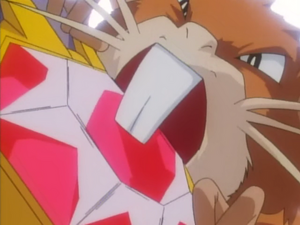 Raticate del caballero usando Supercolmillo/Superdiente.