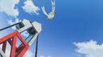 Wingull
