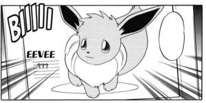 Eevee en la computadora/el ordenador.