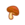Seta Sabrosa