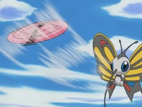 Beautifly practicando con el disco.