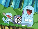 Wooper