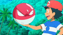 Voltorb
