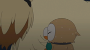 EP959 Rowlet puede volar con el aro.png