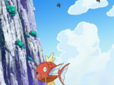 Magikarp