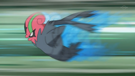 Accelgor - WikiDex, la enciclopedia Pokémon