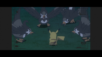 Pikachu junto a cuatro Staravia.