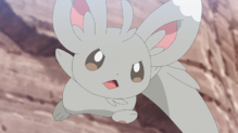 Minccino
