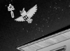 Noctowl en EYE02