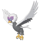 Braviary de Hisui