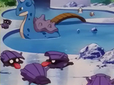 Shellder