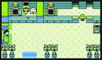 Centro Pokémon de Ciudad Verde en Am (interior).