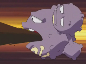 Weezing usando Residuos.
