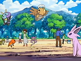 Aipom