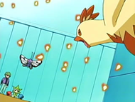 Butterfree y Roselia vs Combusken.