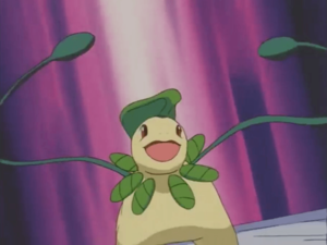 Bayleef usando Látigo cepa.