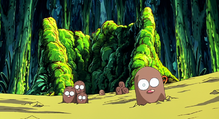 Diglett