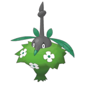 Wormadam planta