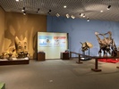 Una exhibición de Bastiodon
