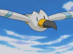 Imagen de Peeko