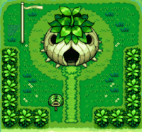 Base de Bulbasaur, Chikorita y Treecko al principio del juego.