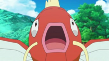 Magikarp