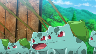 Bulbasaur salvajes usando Látigo Cepa.