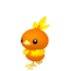 Torchic HOME.png