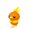 Torchic