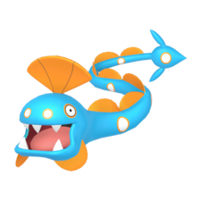 Huntail macho