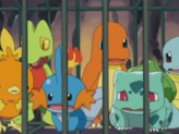 Bulbasaur