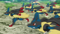 Mega-Lucario de Ash usando doble equipo.