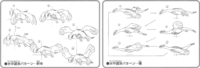 Bocetos de Lugia nadando.