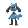 Riolu