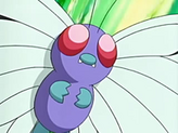 Butterfree