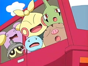 Pokémon cuidados por Matt.