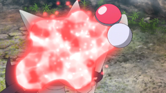 Kiawe capturando a Marowak.