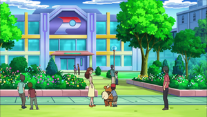 Centro Pokémon la Isla sin nombre 5