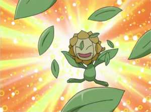 Sunflora usando hoja afilada.