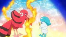 Oricorio y Quaxly bailando.