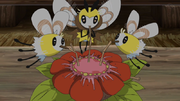 EP1064 Cutiefly y Ribombee.png