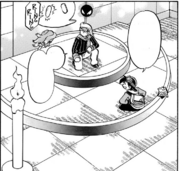 Estadio del Gimnasio Pokémon de Ciudad Iris.