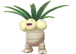 Imagen de Exeggutor en Pokémon Espada y Pokémon Escudo